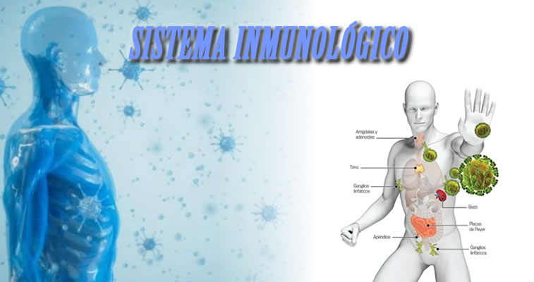 Sistema Inmunológico